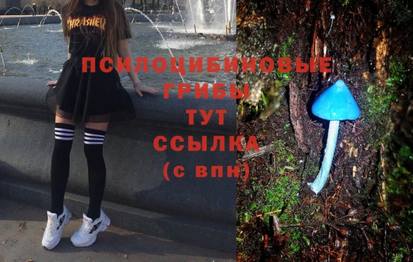 МДМА Алексин