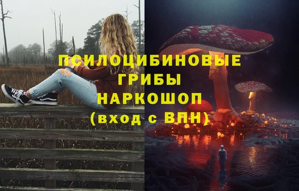 кокс Алексеевка
